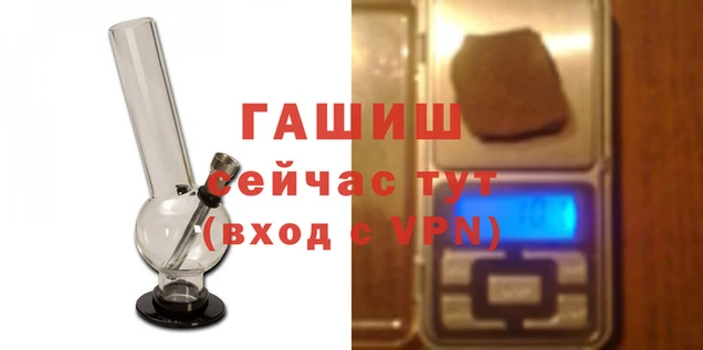 дмт Алзамай