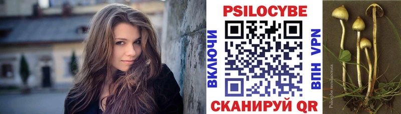 Галлюциногенные грибы ЛСД  купить наркоту  Новороссийск 